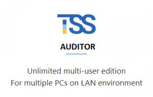 TSS - Auditor